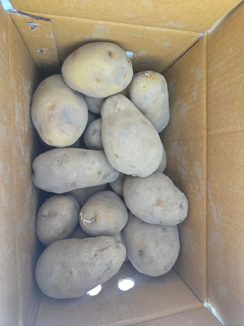 김동규님의 장터 구매 후기 썸네일