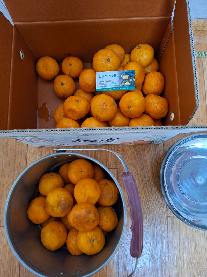 정백영님의 장터 구매 후기 썸네일