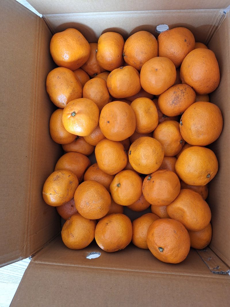 김용환님의 장터 구매 후기 썸네일