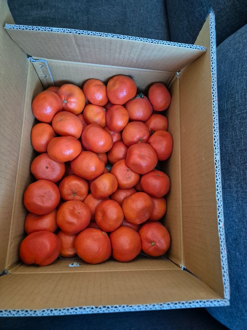 이정표님의 장터 구매 후기 썸네일