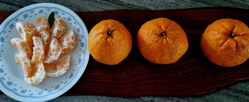 김진양님의 장터 구매 후기 썸네일