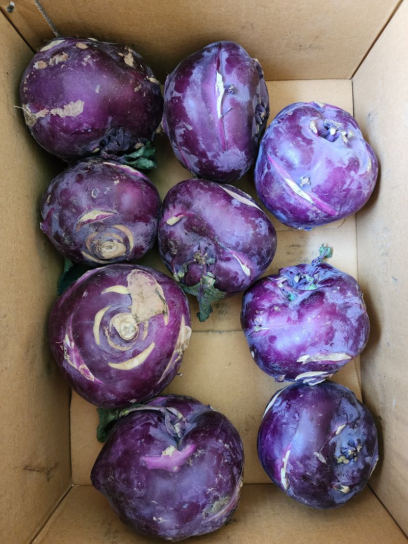 구불이님의 장터 구매 후기 썸네일