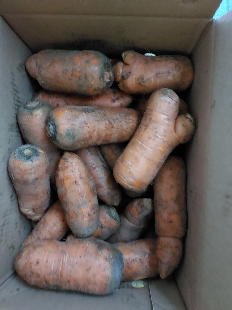 인행님의 장터 구매 후기 썸네일