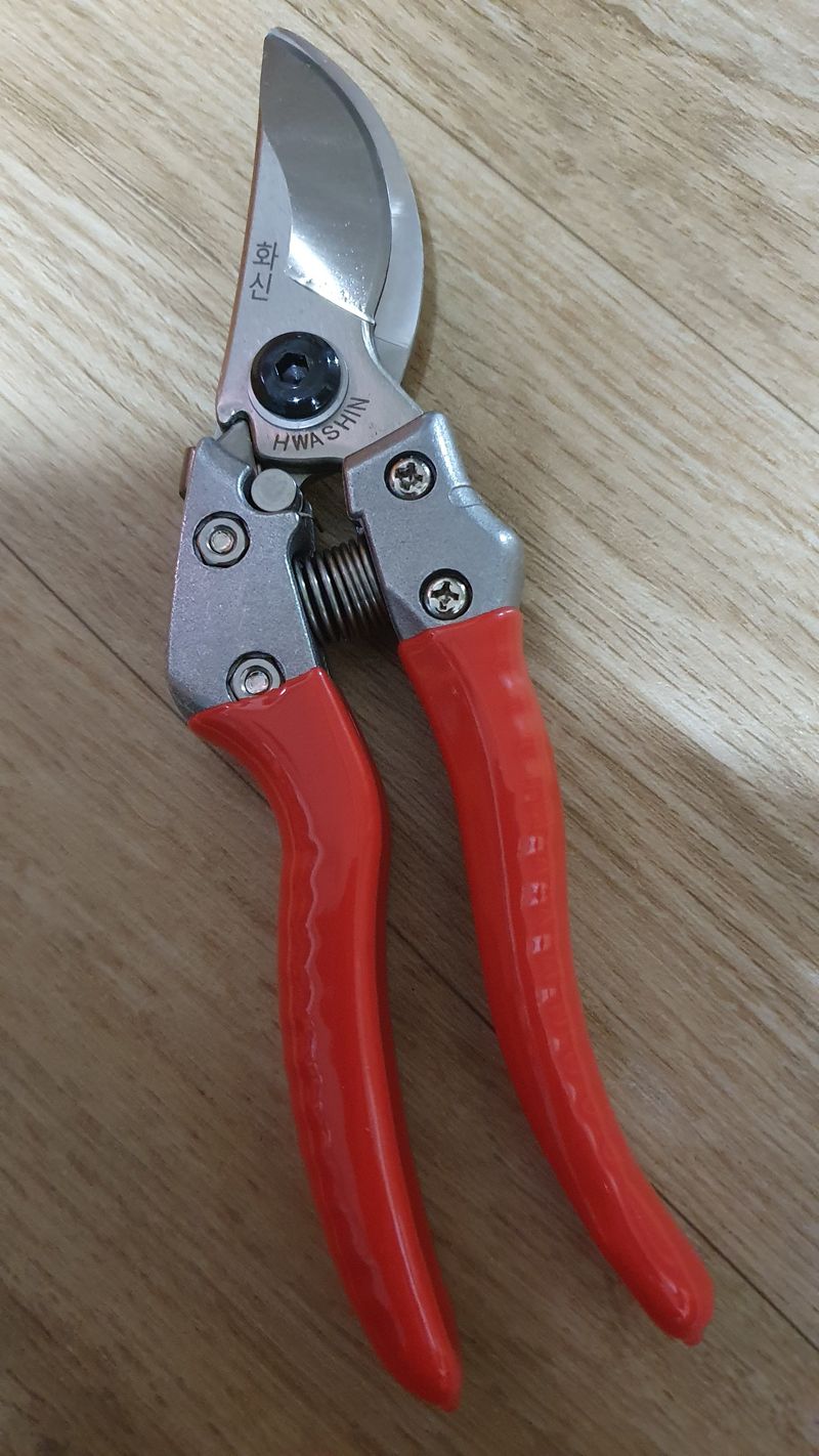 시금치18851님의 장터 구매 후기 썸네일