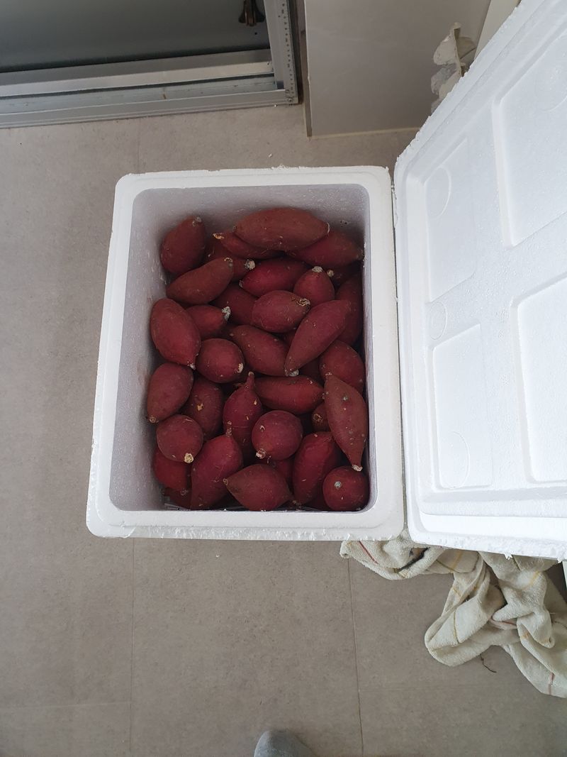 권기은님의 장터 구매 후기 썸네일