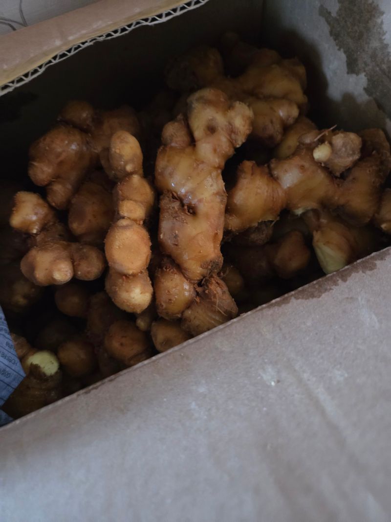 김재철님의 장터 구매 후기 썸네일