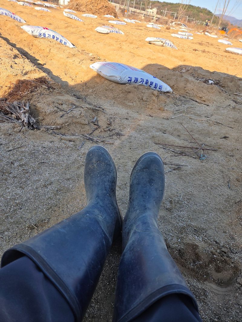 감17256님의 장터 구매 후기 썸네일