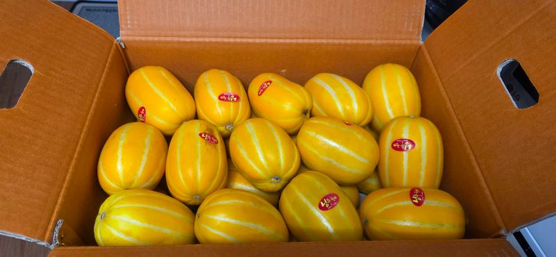 달맛햇복숭아농원님의 장터 구매 후기 썸네일