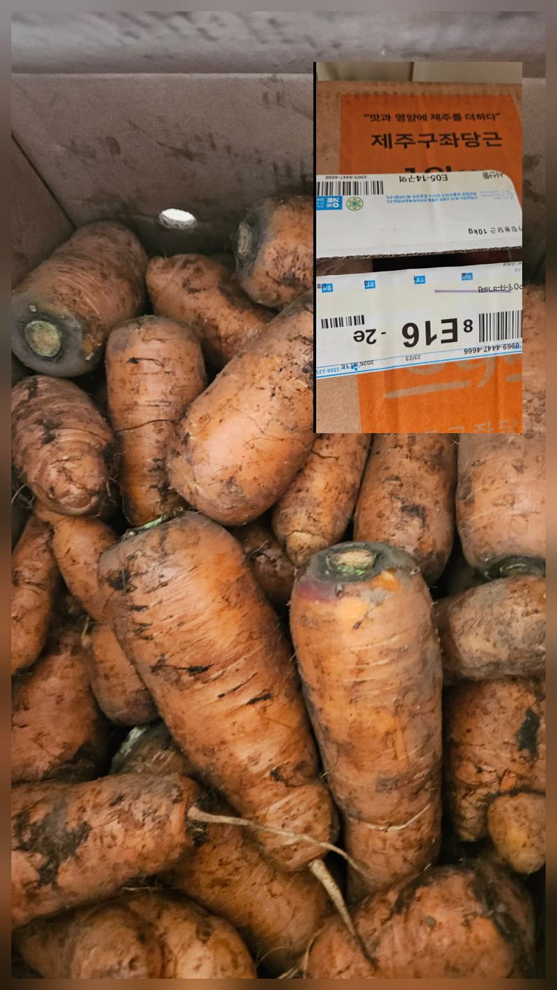 모니카님의 장터 구매 후기 썸네일