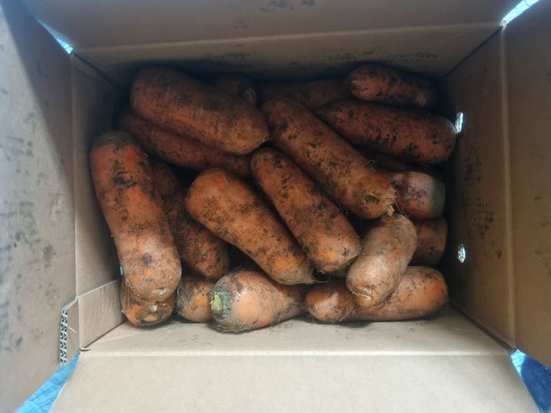 백승두님의 장터 구매 후기 썸네일