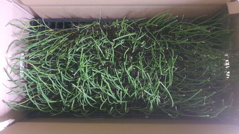 지성근님의 장터 구매 후기 썸네일