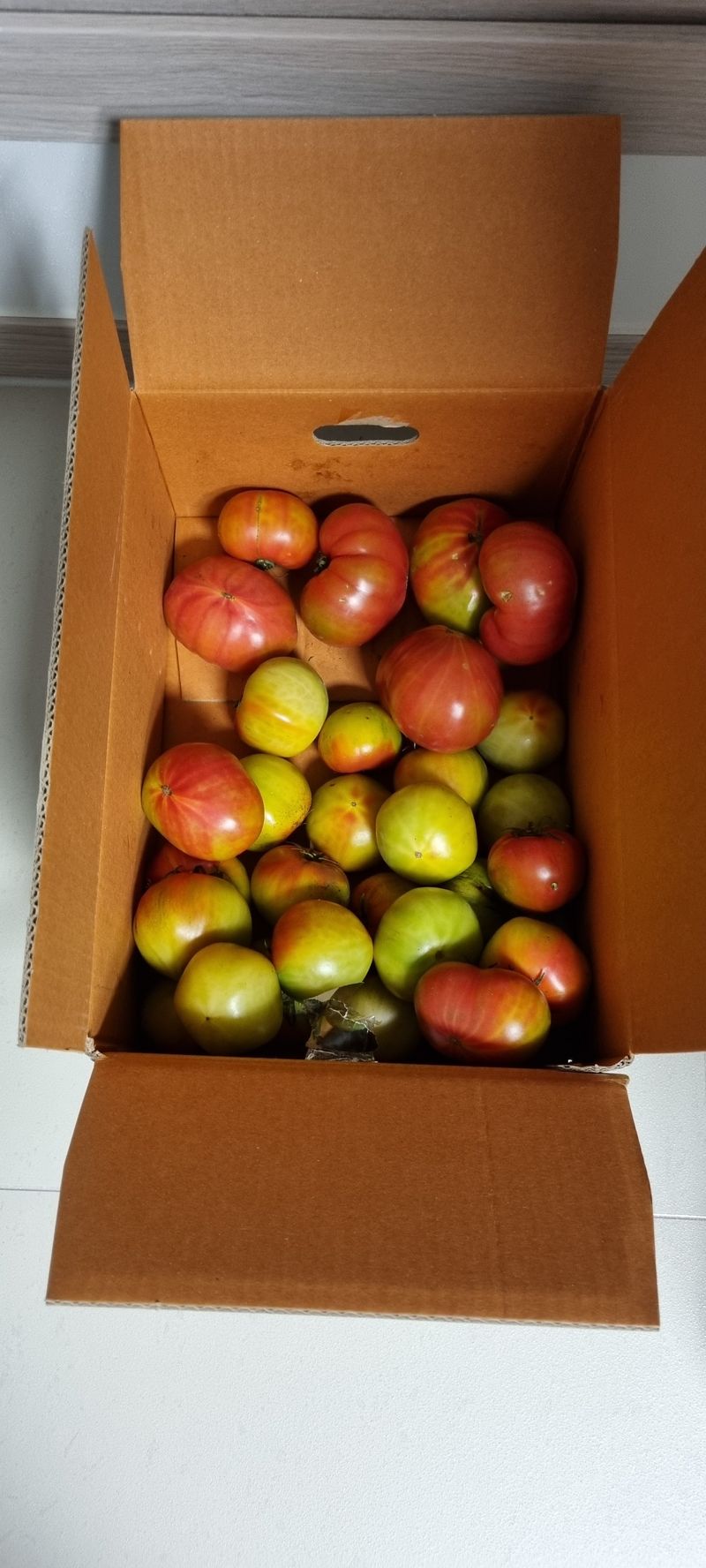 유영규님의 장터 구매 후기 썸네일