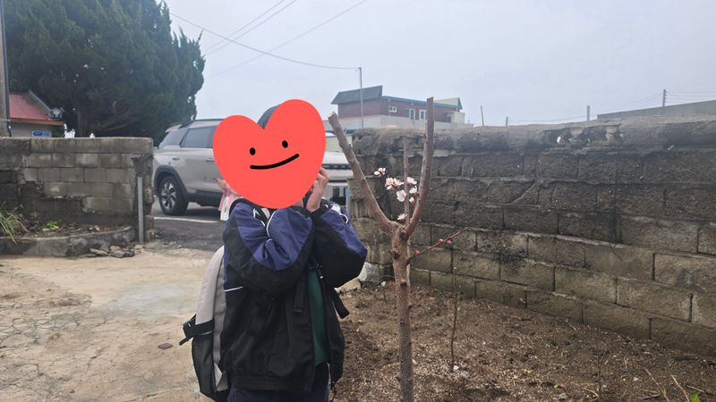 김혜정님의 장터 구매 후기 썸네일
