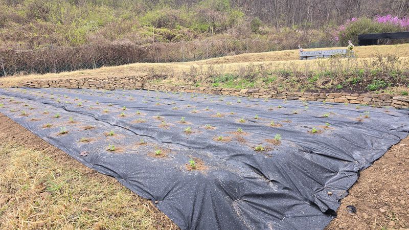 은석산님의 장터 구매 후기 썸네일