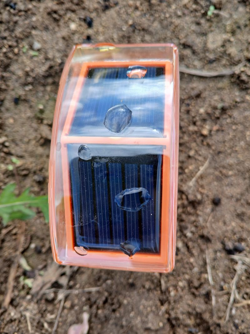정구옥님의 장터 구매 후기 썸네일