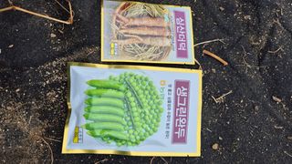 전환엽님의 콩 · 영농일지 작성글 사진