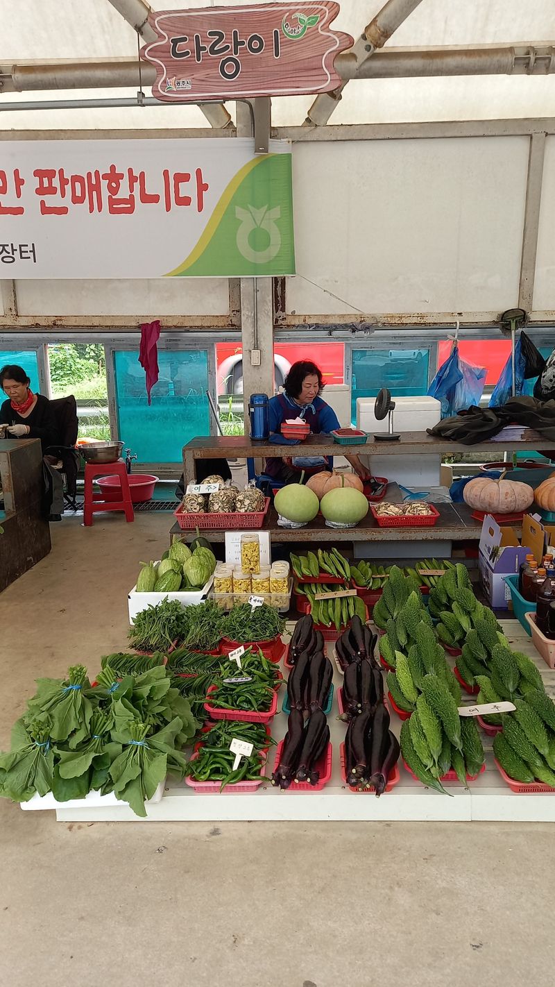 김동주님의 프로필