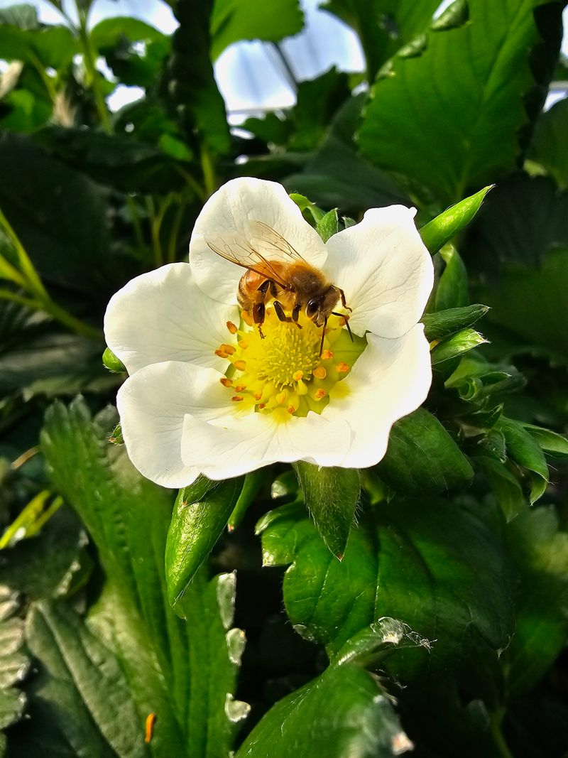 김금신님의 프로필