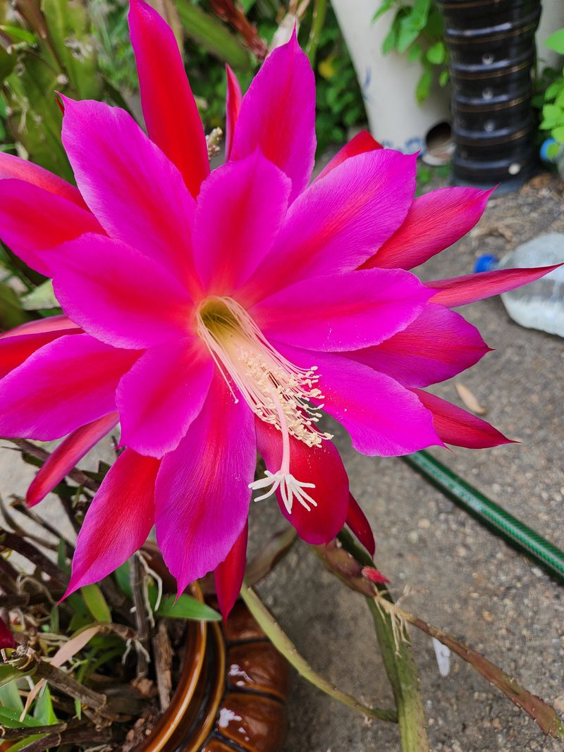 노치성님의 프로필