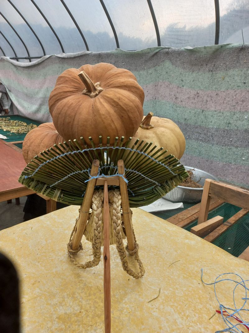 윤경예님의 프로필