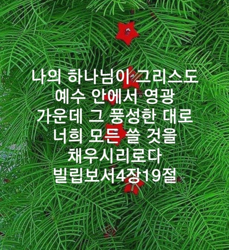 거제석연최님의 프로필
