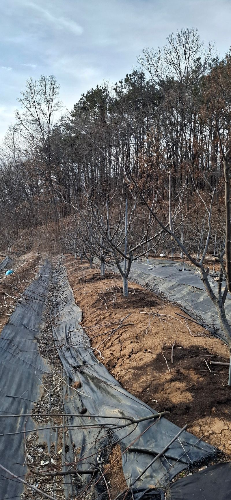 박광현님의 프로필
