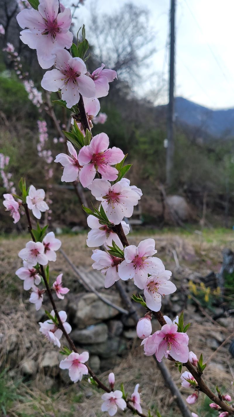 신근영님의 프로필