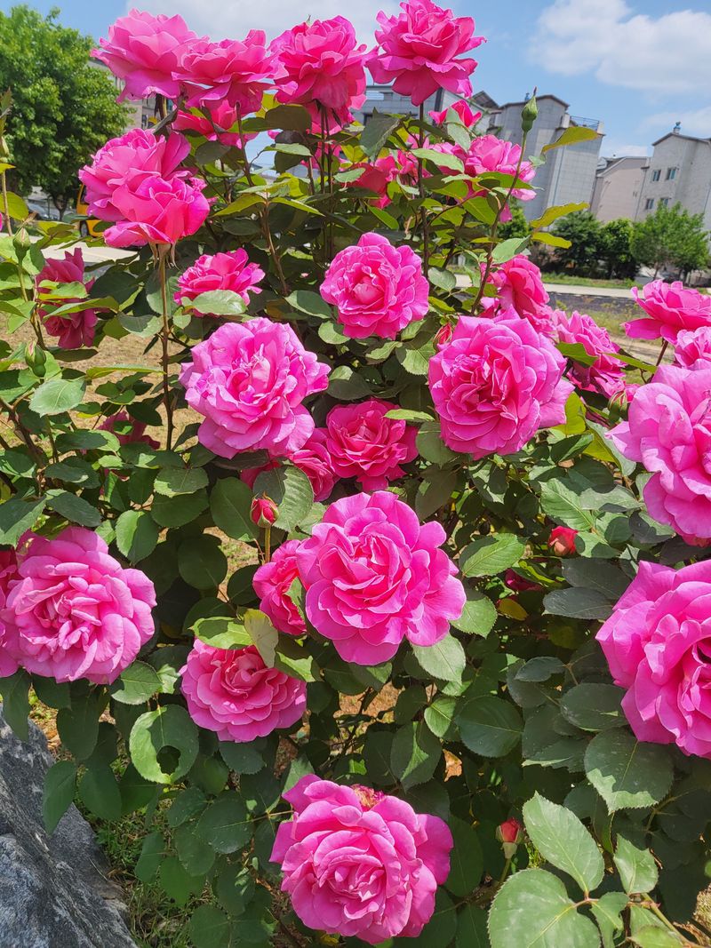 이름 없음님의 프로필