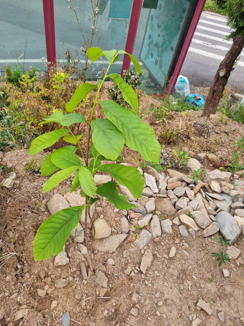조리윤님의 프로필