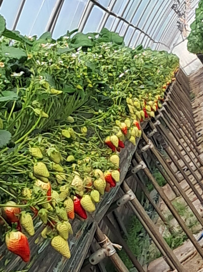 이대로님의 프로필