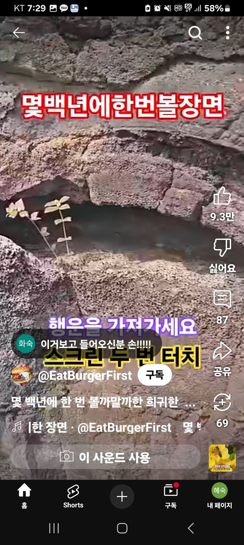 김혜숙님의 프로필