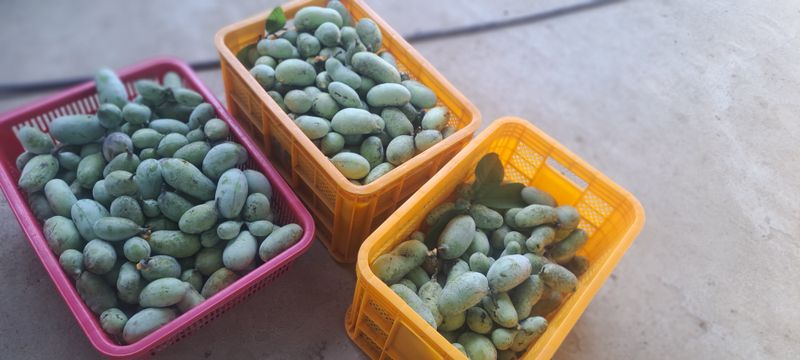백동감님의 프로필