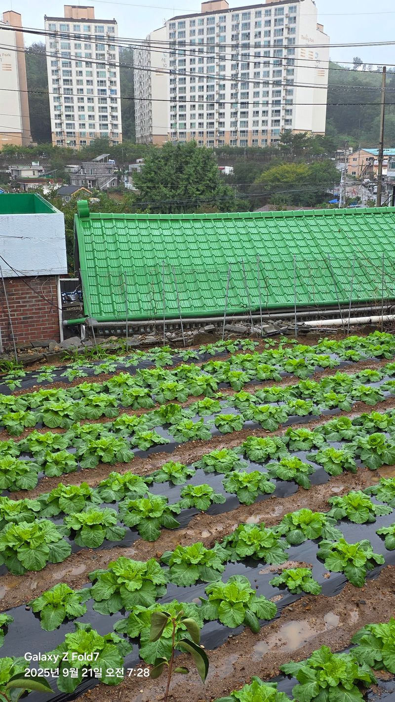 안석철님의 프로필