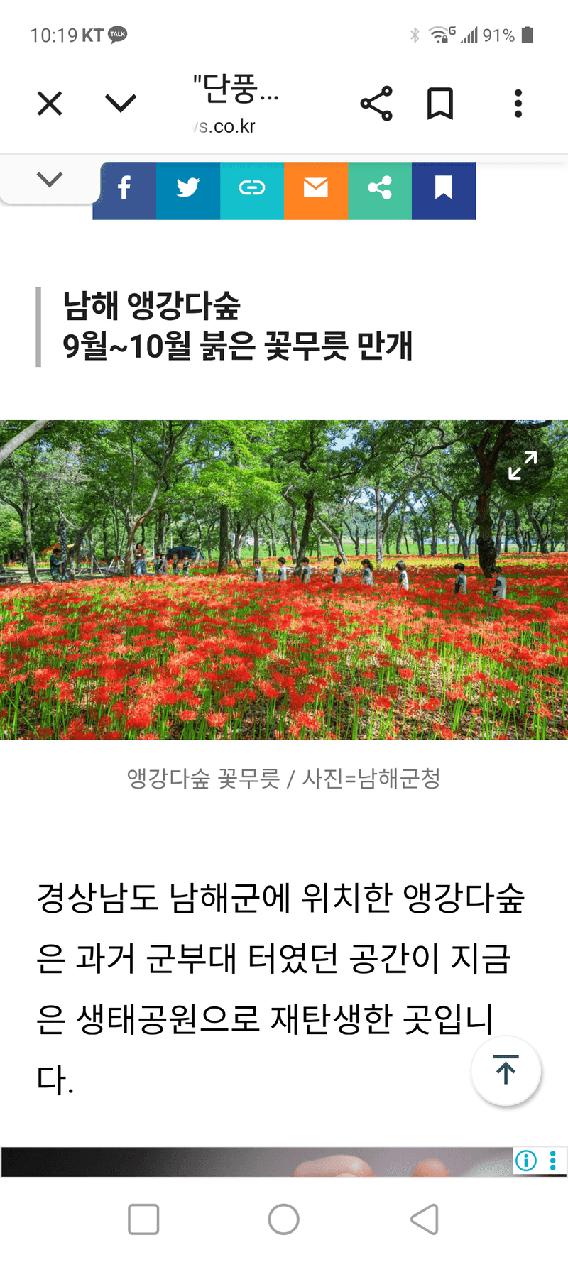 안갈비님의 프로필