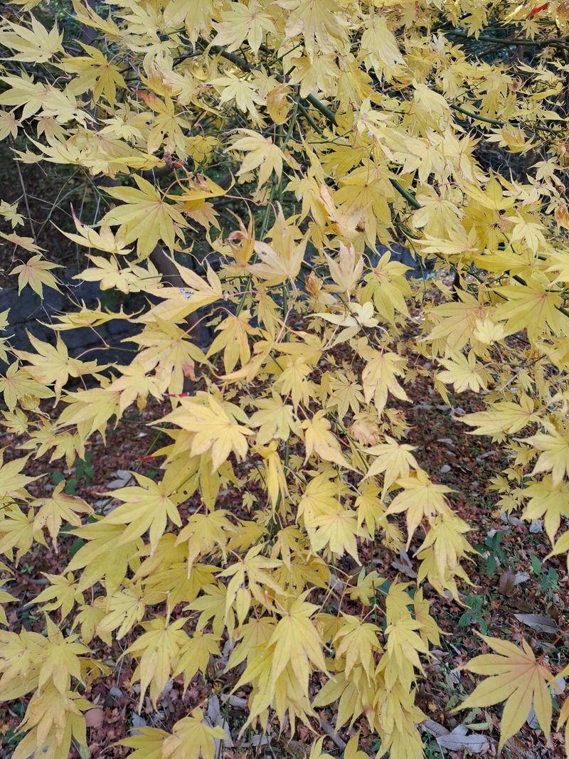 신태영님의 프로필