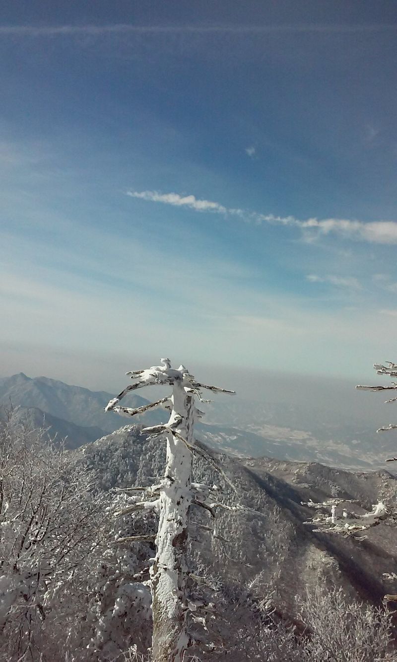 좋은들님의 프로필