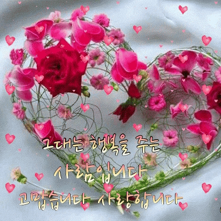 하은와송~♡♡♡~님의 프로필