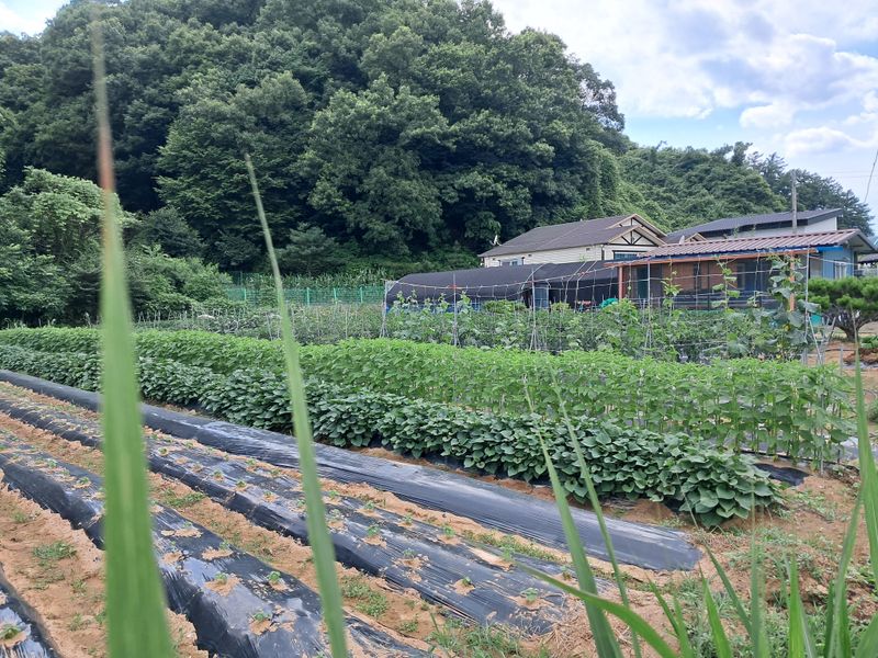 후해하지말자님의 프로필