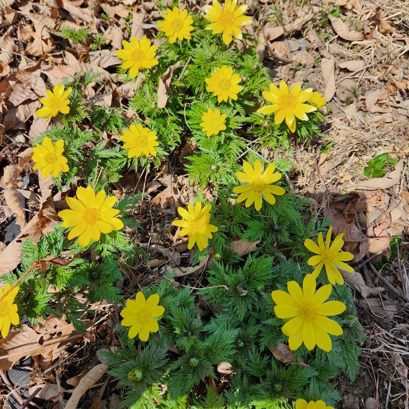 정화님의 프로필